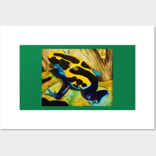 Poison Dart Arrow Frog--Blue and Yellow Posters and Art